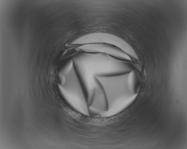 X0000080720037200701121855