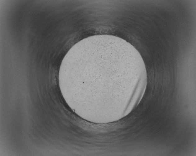 X0000080720038200701121855