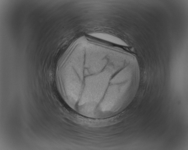 X0000080720039200701121855