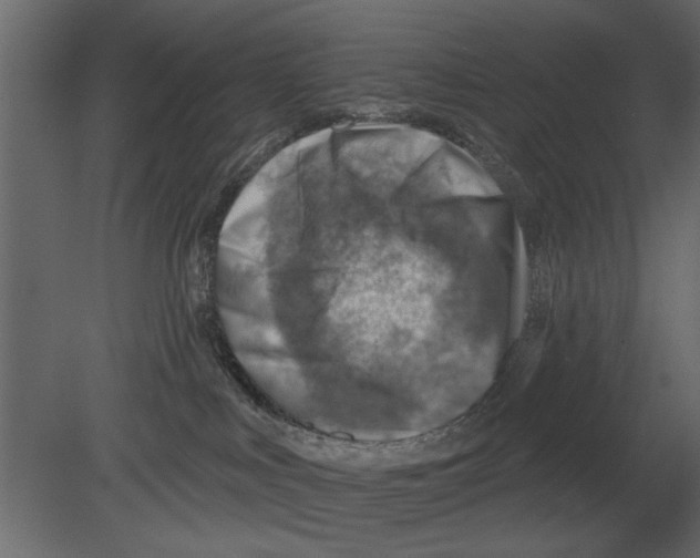 X0000080720043200701121855