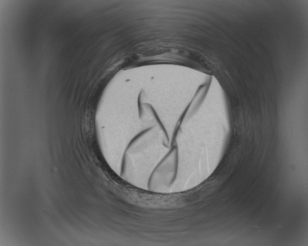 X0000080720044200701121855