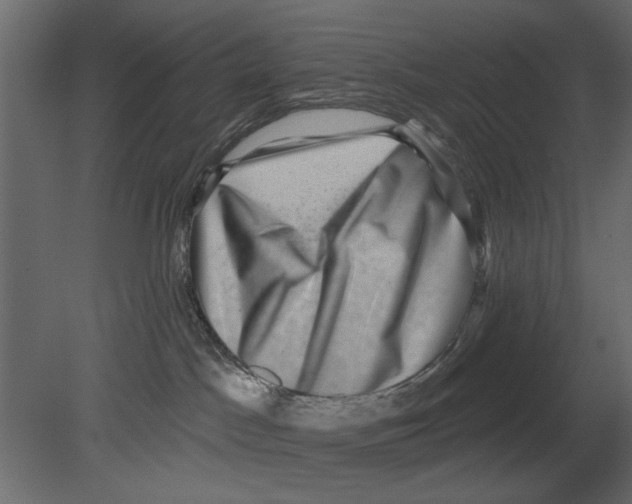 X0000080720045200701121855