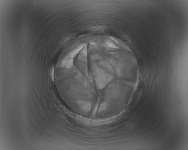 X0000080720047200701121855