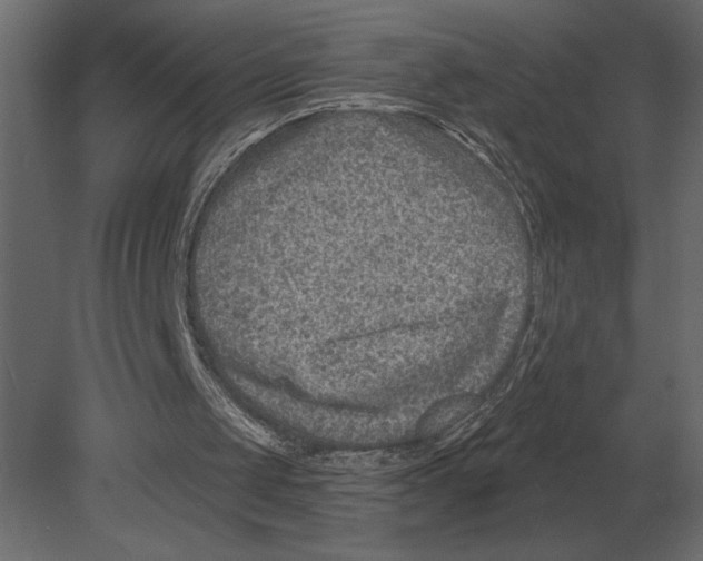 X0000080720049200701121854