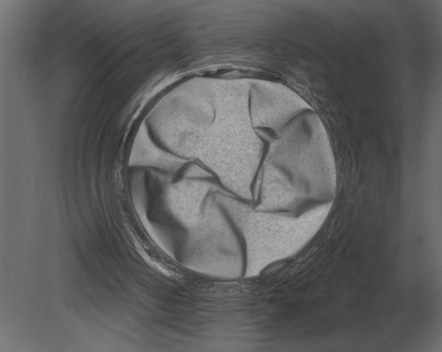 X0000080720050200701121854