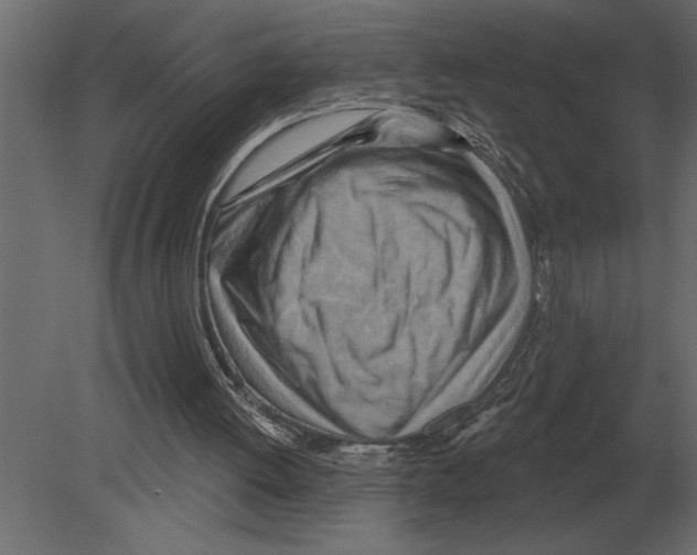 X0000080720052200701121854