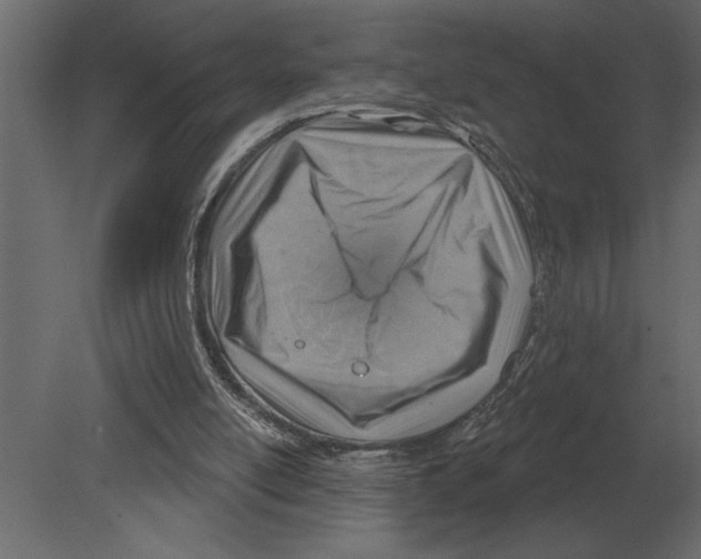 X0000080720054200701121854