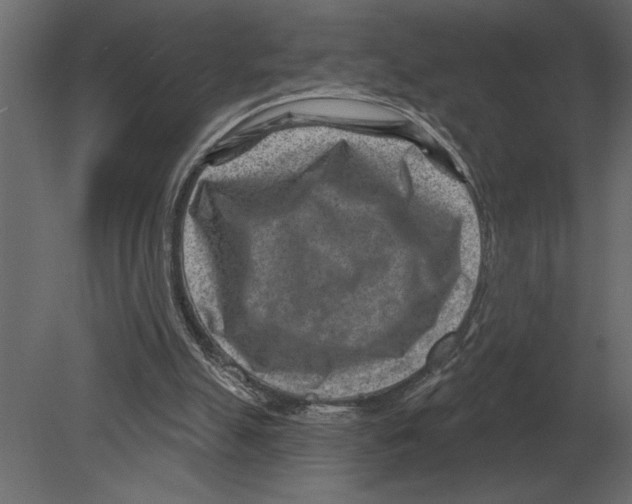 X0000080720055200701121854