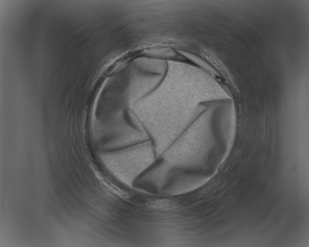 X0000080720058200701121854