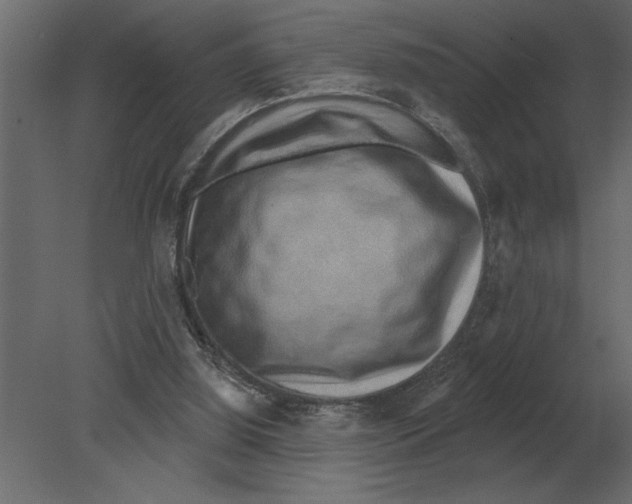 X0000080720060200701121854