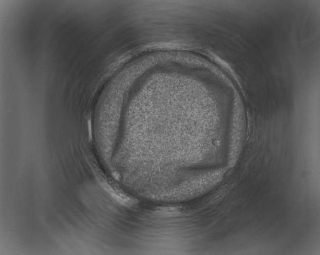 X0000080720061200701121854