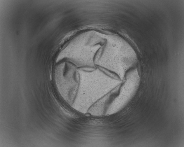 X0000080720062200701121854