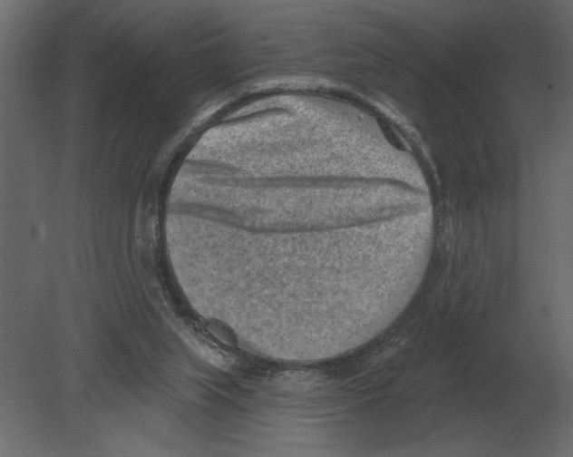 X0000080720063200701121854