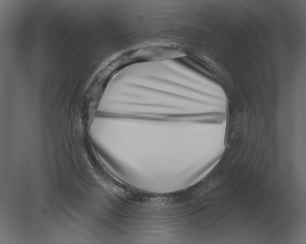 X0000080720064200701121854