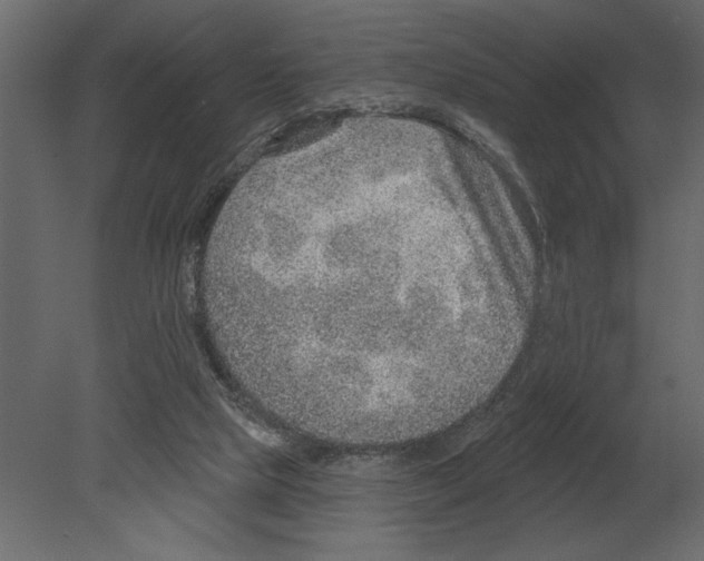 X0000080720065200701121854