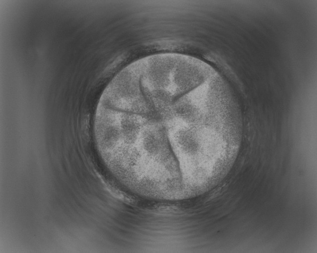 X0000080720066200701121854