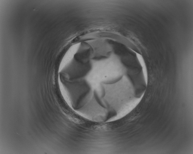 X0000080720068200701121854