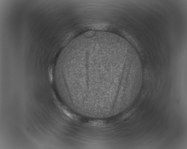 X0000080720069200701121854