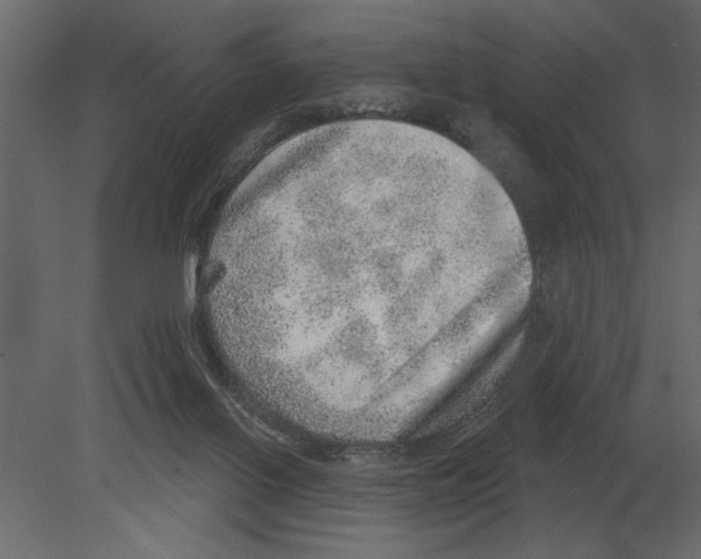 X0000080720070200701121854