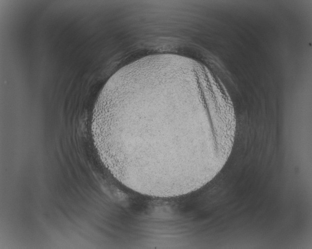 X0000080720073200701121854