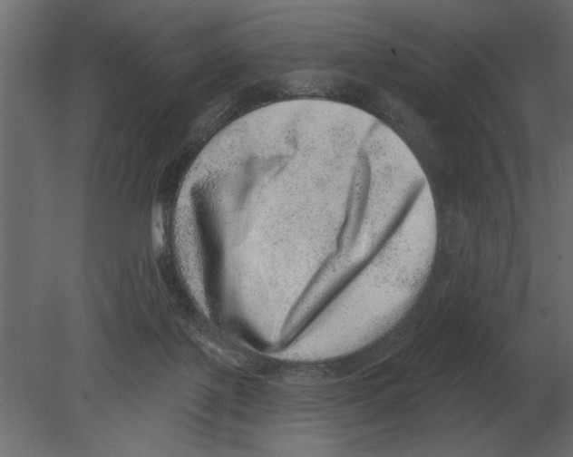 X0000080720075200701121855