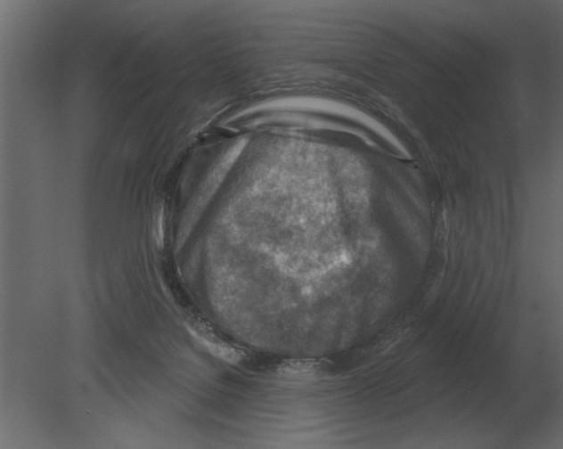 X0000080720076200701121855