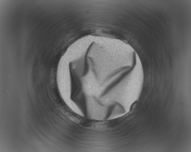 X0000080720078200701121855