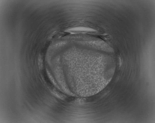 X0000080720080200701121855