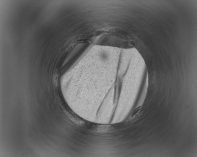 X0000080720090200701121855