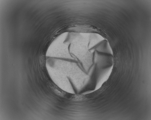 X0000080720093200701121855