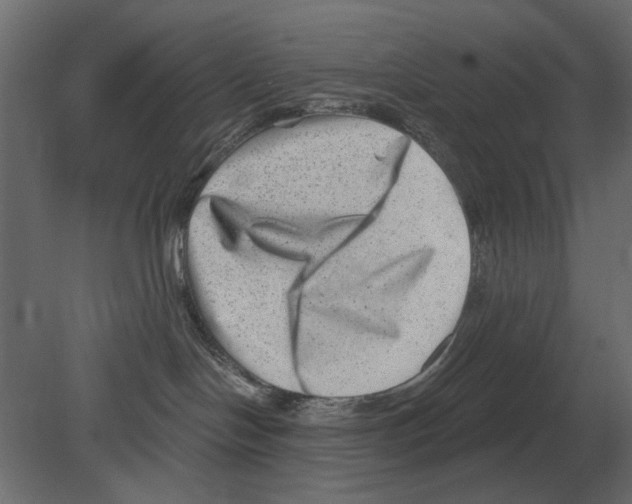 X0000080720094200701121855