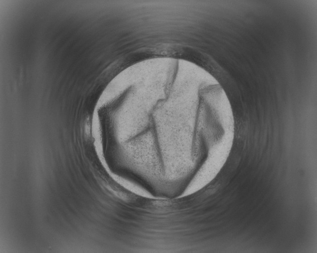 X0000080720095200701121855