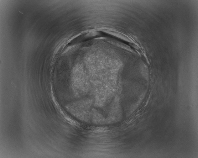 X0000080720097200701121854