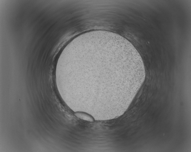 X0000080720098200701121854