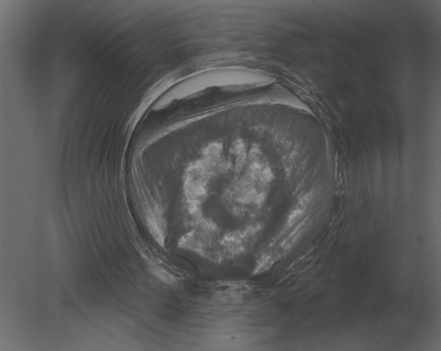 X0000080720099200701121854