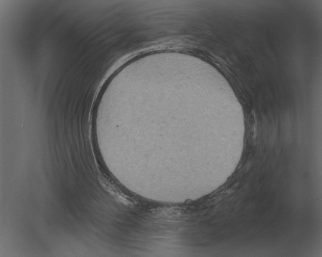 X0000080720100200701121854