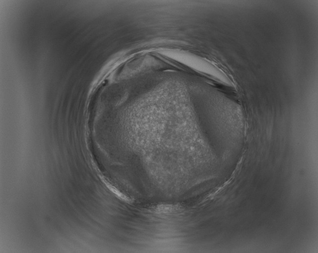 X0000080720101200701121854