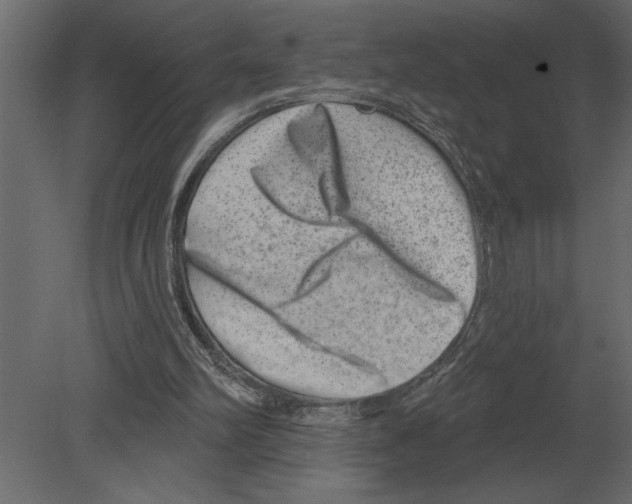 X0000080720102200701121854