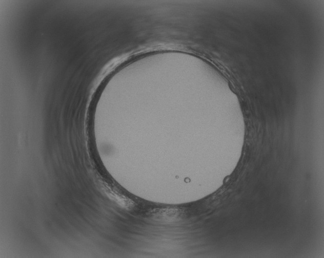 X0000080720104200701121854