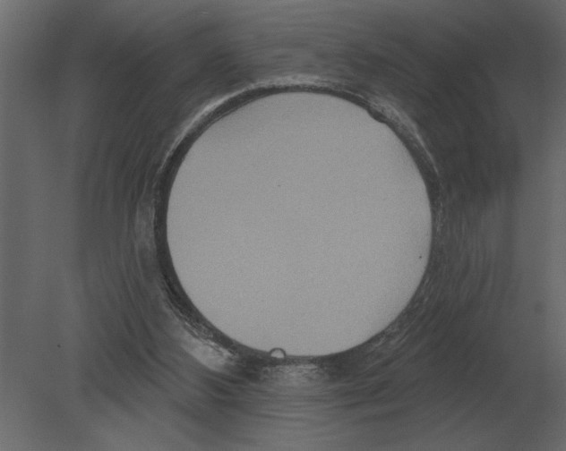 X0000080720108200701121854