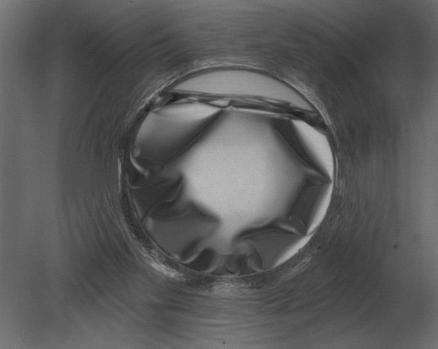 X0000080720109200701121854