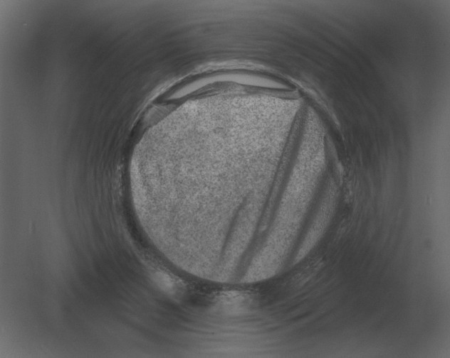 X0000080720111200701121854