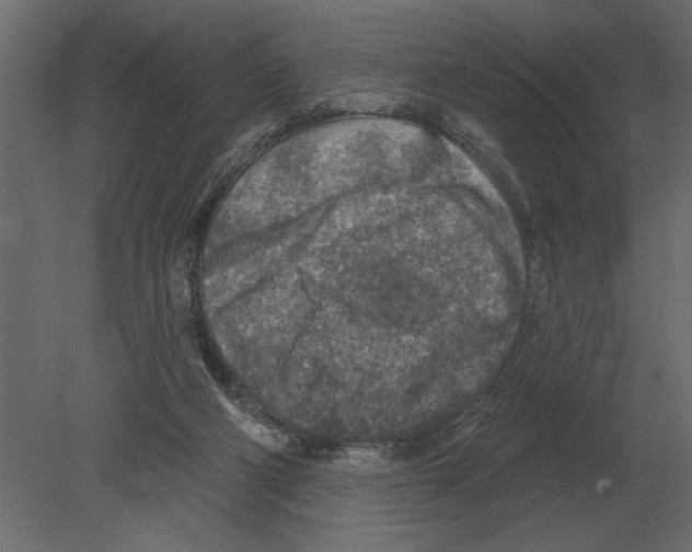 X0000080720114200701121854