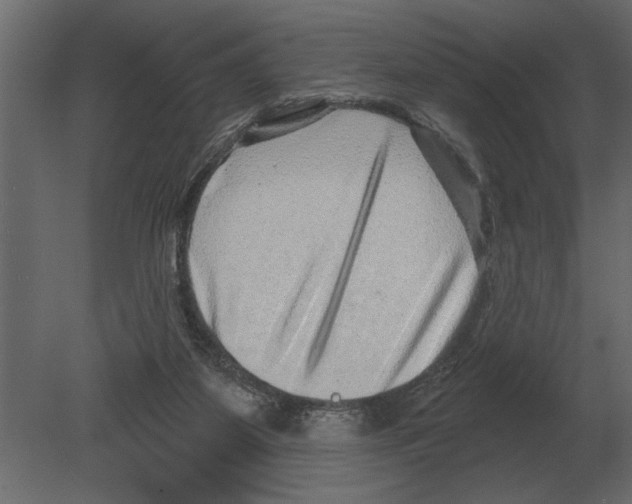 X0000080720115200701121854