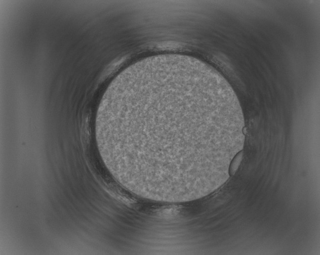 X0000080720116200701121854