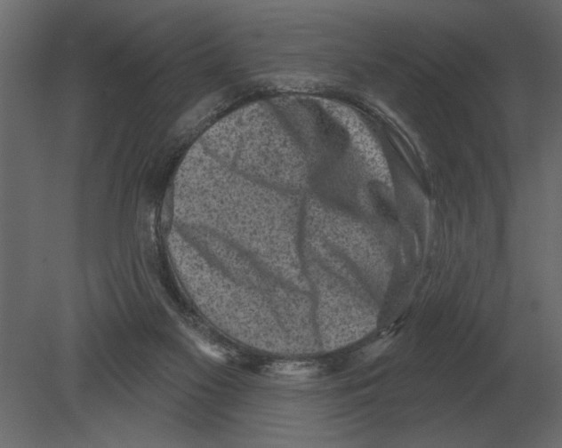 X0000080720117200701121854