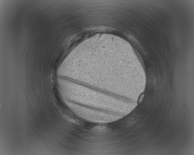 X0000080720119200701121854