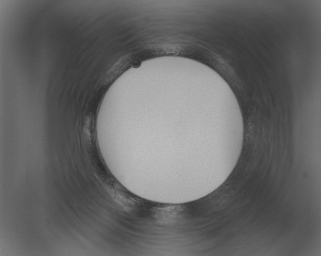 X0000080720122200701121854