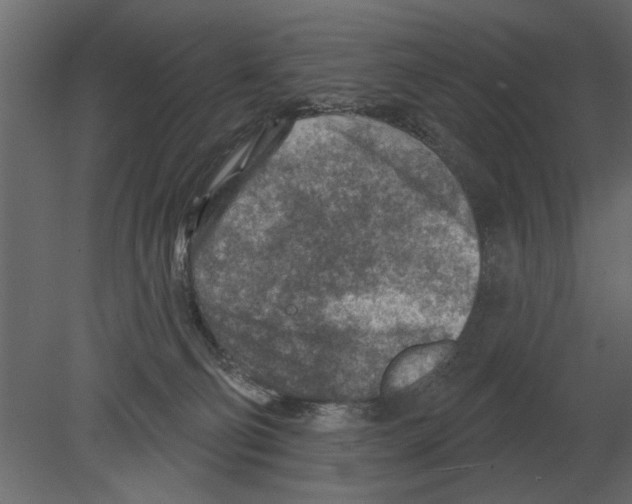 X0000080720130200701121853