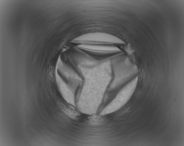 X0000080720141200701121853